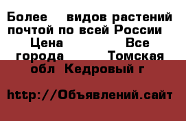 Более200 видов растений почтой по всей России › Цена ­ 100-500 - Все города  »    . Томская обл.,Кедровый г.